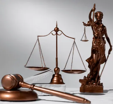 vijustitiadhi